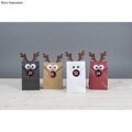 DIY sada na zdobenie adventných vrecúšok - Veselý sob Rudolf