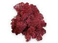 Islandský aranžérsky mach 30g - burgundy