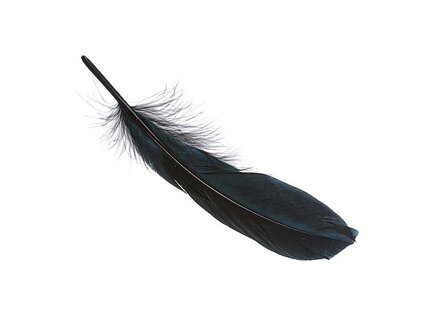 Husacie pierka 20cm 8ks - čierne