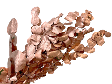 Stabilizované eukalyptové listy Penny Gum 100g - medené