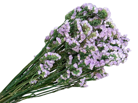 Sušená kytica Limonium Sinuata - limonka 120g - svetlá fialová