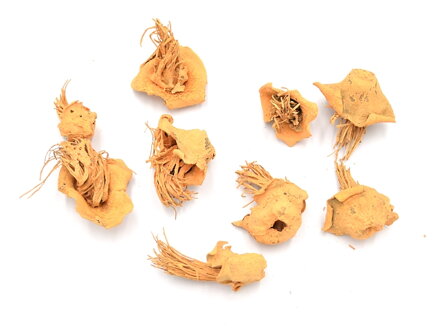 Sušené klobúčiky "medúzy" 10g - pastelové oranžové