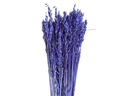 Sušený ovos siaty 150g fialový