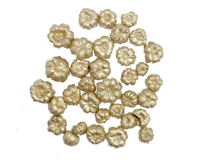 Sušený plod tekvička liliput 10g - champagne