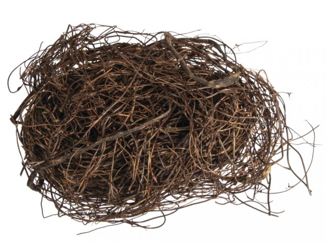 Aranžérske viničové prútiky jemné 50g - prírodné