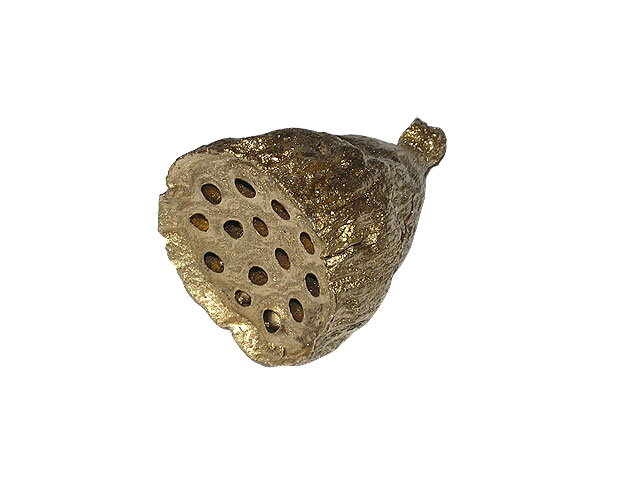 Lotosový kvet 3-5cm - zlatý