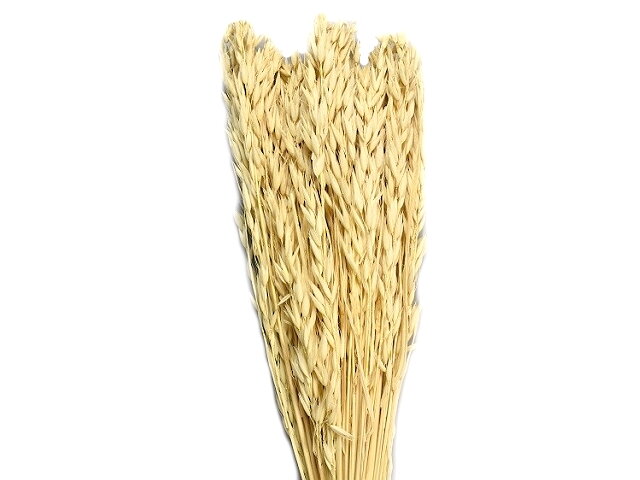 Sušený aranžérsky ovos siaty 150g - bielený