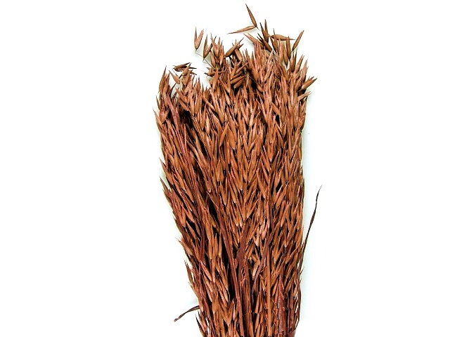 Sušený aranžérsky ovos siaty 150g - hnedý