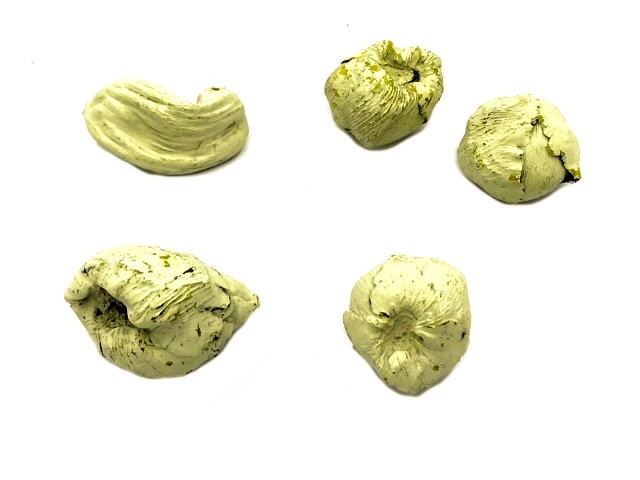 Sušený palmový kvet nerozvitý - púčik - 5 ks - pastelový žltý