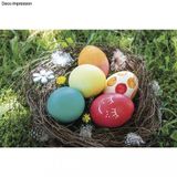 Potravinárske farbivá na farbenie veľkonočných vajíčok - 5 farieb