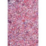 Galaxy vločky PENTART dúhové 15g - Eris pink