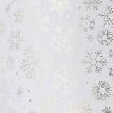 Transparentný papier A4 - 5 vianočných metalických motívov - 10ks