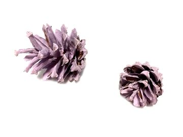 Aranžérska borovicová šiška - pastelová fialová