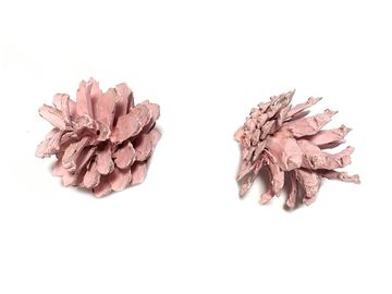 Aranžérska borovicová šiška - pastelová ružová