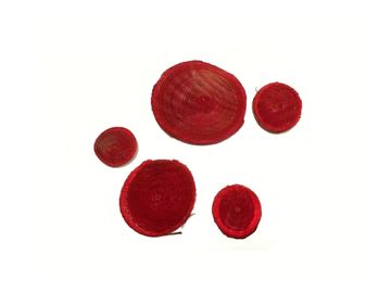Aranžérske drievka okrúhle 5ks - červené