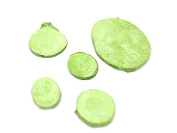 Aranžérske drievka plátky okrúhle 5ks - pastelovo zelené