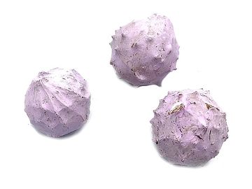 Aranžérske orechy DINO 3ks - pastelovo fialové