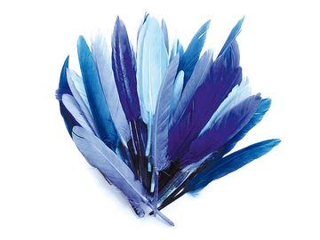 Aranžérske pierka 10g - modré odtiene