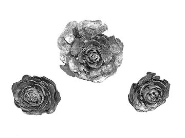 Cédrové ruže 3ks - strieborné