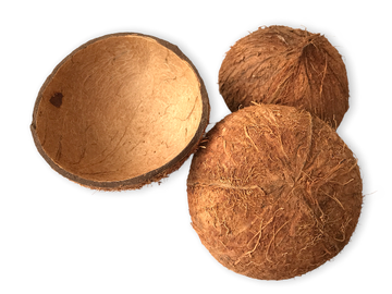 Kokosový orech polený - prírodný