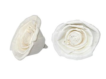 Kvet Ming - ruža