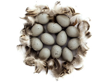 Ozdobné vajíčka s prepeličími pierkami 12ks - béžové