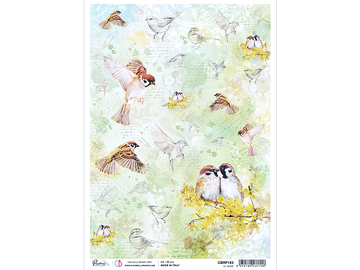Ryžový papier A4 - Le Jaune - vtáčiky