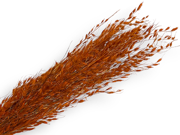 Sušená tráva Borza 100g - oranžová