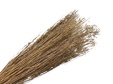 Sušená tráva lúčna - koriander 100g - prírodný