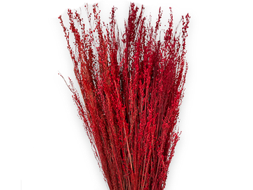 Sušená tráva Star Grass 100g - červená