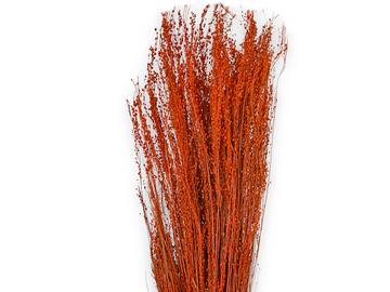 Sušená tráva Star Grass 100g - oranžové