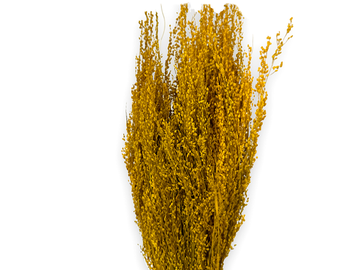 Sušená tráva Star Grass 100g - slnečnicovo žlté