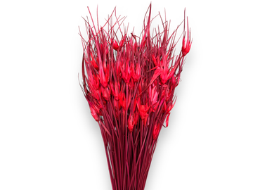 Sušená tráva tulipánová 100g - červená