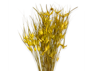 Sušená tráva tulipánová 100g - žltá