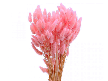 Sušená tráva zajačka vajcovitá Lagurus 50g - bielená ružová