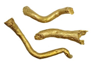 Sušené aranžérske drievka koreň - metalické zlaté