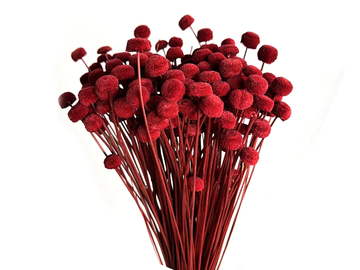 Sušené kvety Botao 80g - červená