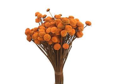 Sušené kvety Botao 80g - oranžové
