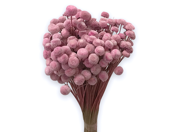 Sušené kvety Botao 80g - ružové