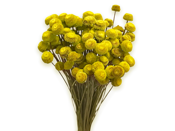 Sušené kvety Botao 80g - žlté