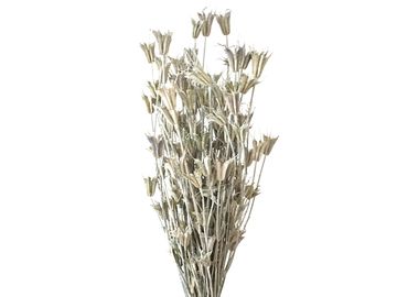 Sušené kvety hviezdičky Nigella Orientalis 100g - vintage biele