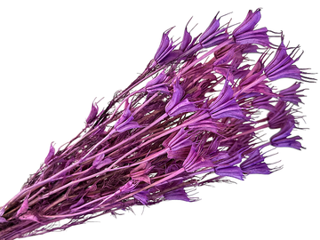Sušené kvety - kytica Nigella Orientalis cca 70g - fialové