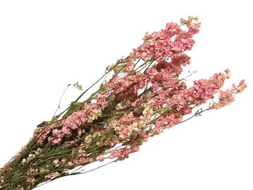 Sušené kvety Ostrôžky poľnej 100g - prírodné ružové