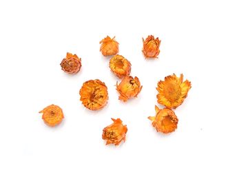 Sušené kvety slamienky 10ks - svetlé oranžové