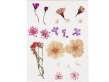Sušené lisované kvety a listy 19ks - fialový mix