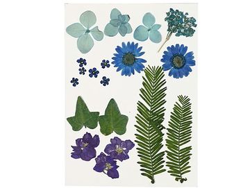 Sušené lisované kvety a listy 19ks - modrý mix