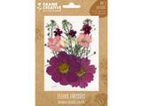 Sušené lisované kvety a listy - fialové krasuľky a verbeny