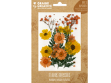 Sušené lisované kvety a listy - žltá letná lúka