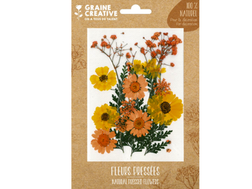 Sušené lisované kvety a listy - žltá letná lúka