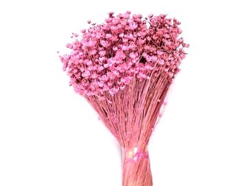 Sušené mini slamienky Glixia Marcela 75g kytička - ružové